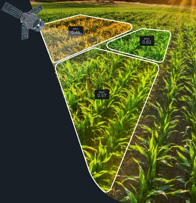 NDVI Monitoring