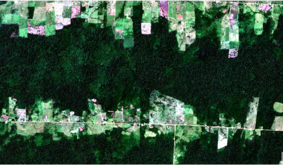 Deforestation Monitoring