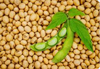 Soybean Monitoring