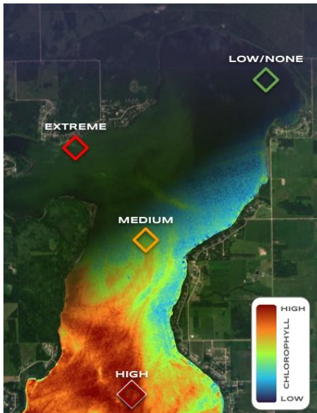 Water Quality and Ecosystem Assessment Chlorophyll Map
